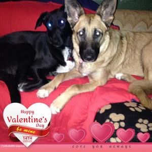 Meet your Posher, Francine